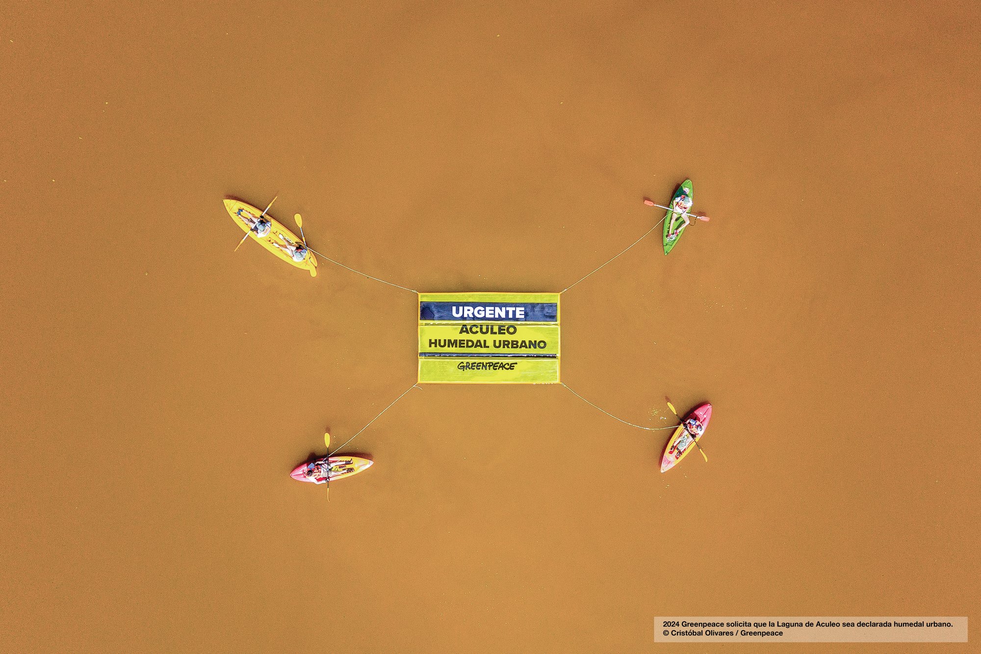2025 Protección Aculeo (4) © Cristobal Olivares  Greenpeace