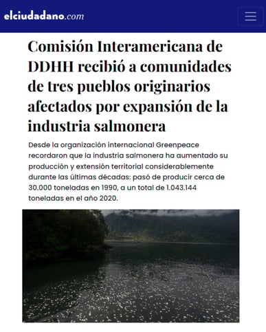 CIDH_ELCIUDADANO