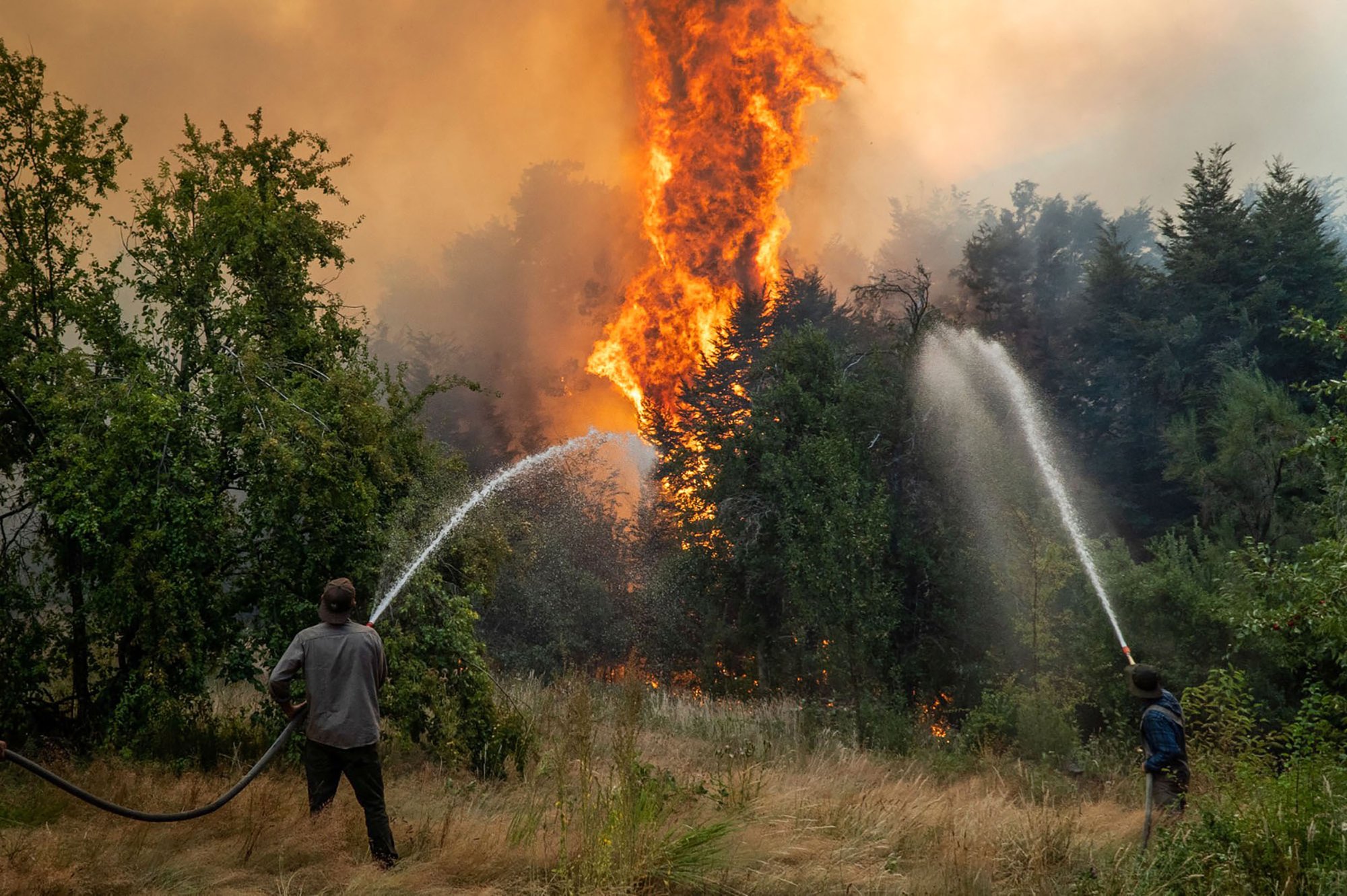 El Bolson Temporada Incendios 2024-2025 © Marcelo Martinez Greenpeace