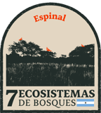 Espinal