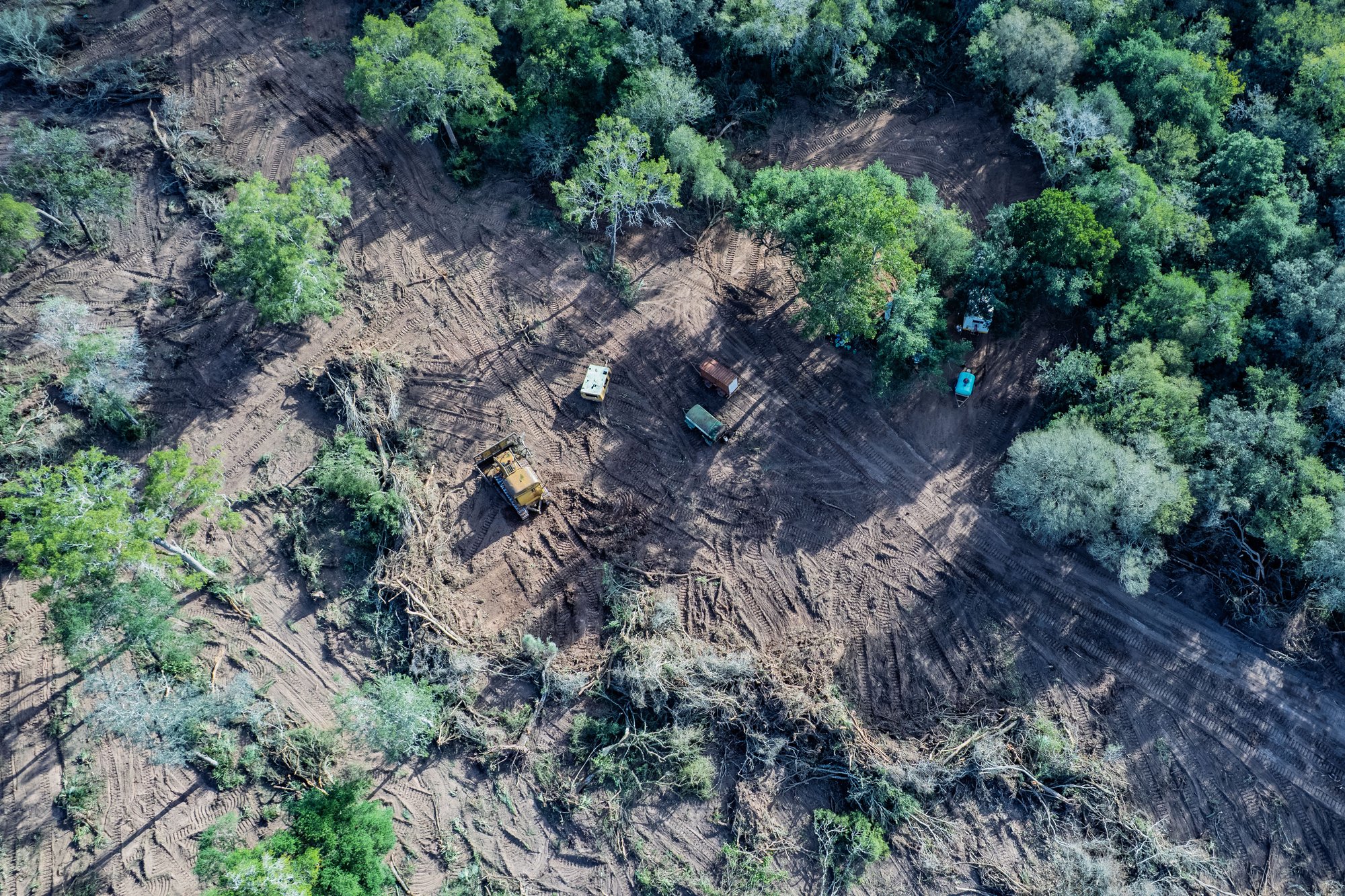 Formosa 1 © Martin Katz Greenpeace