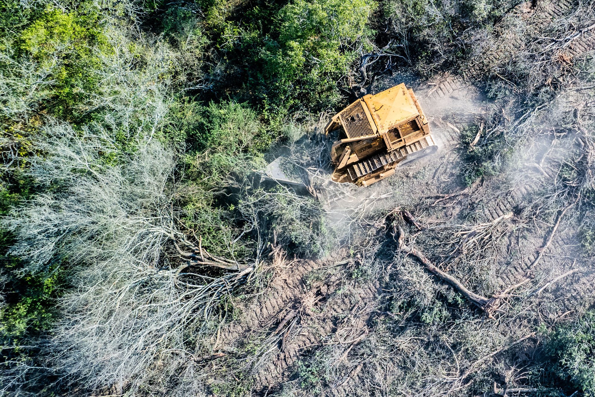 GPA_Formosa_2023_MartinKatz-Greenpeace_01