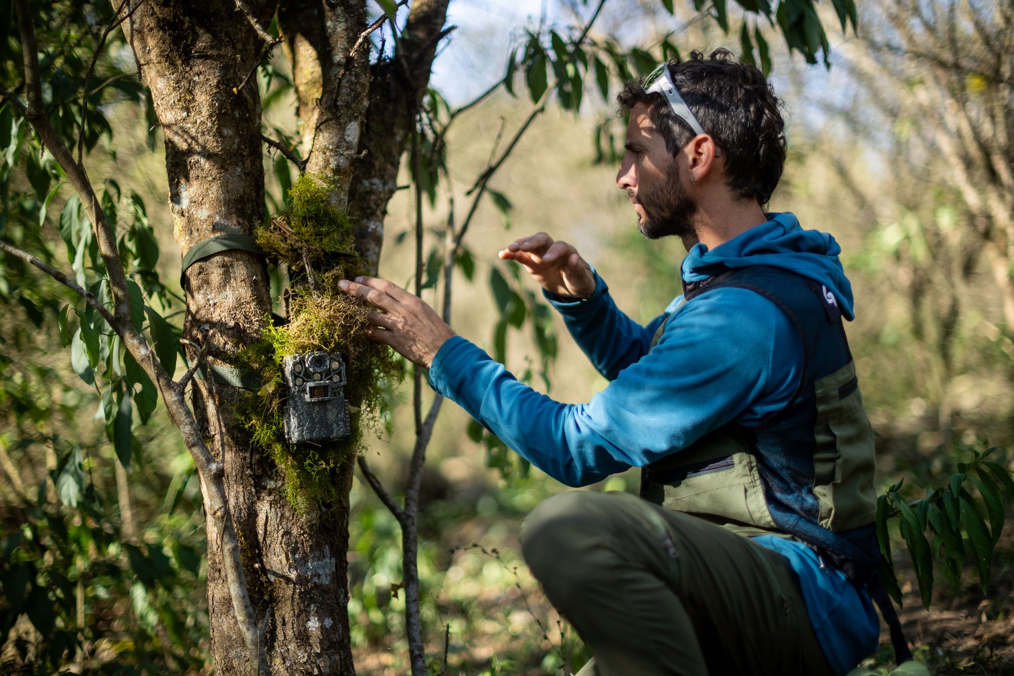 Greenpeace colocando cámaras Trampa en Selva de Yungas © Tomás Cuesta Greenpeace