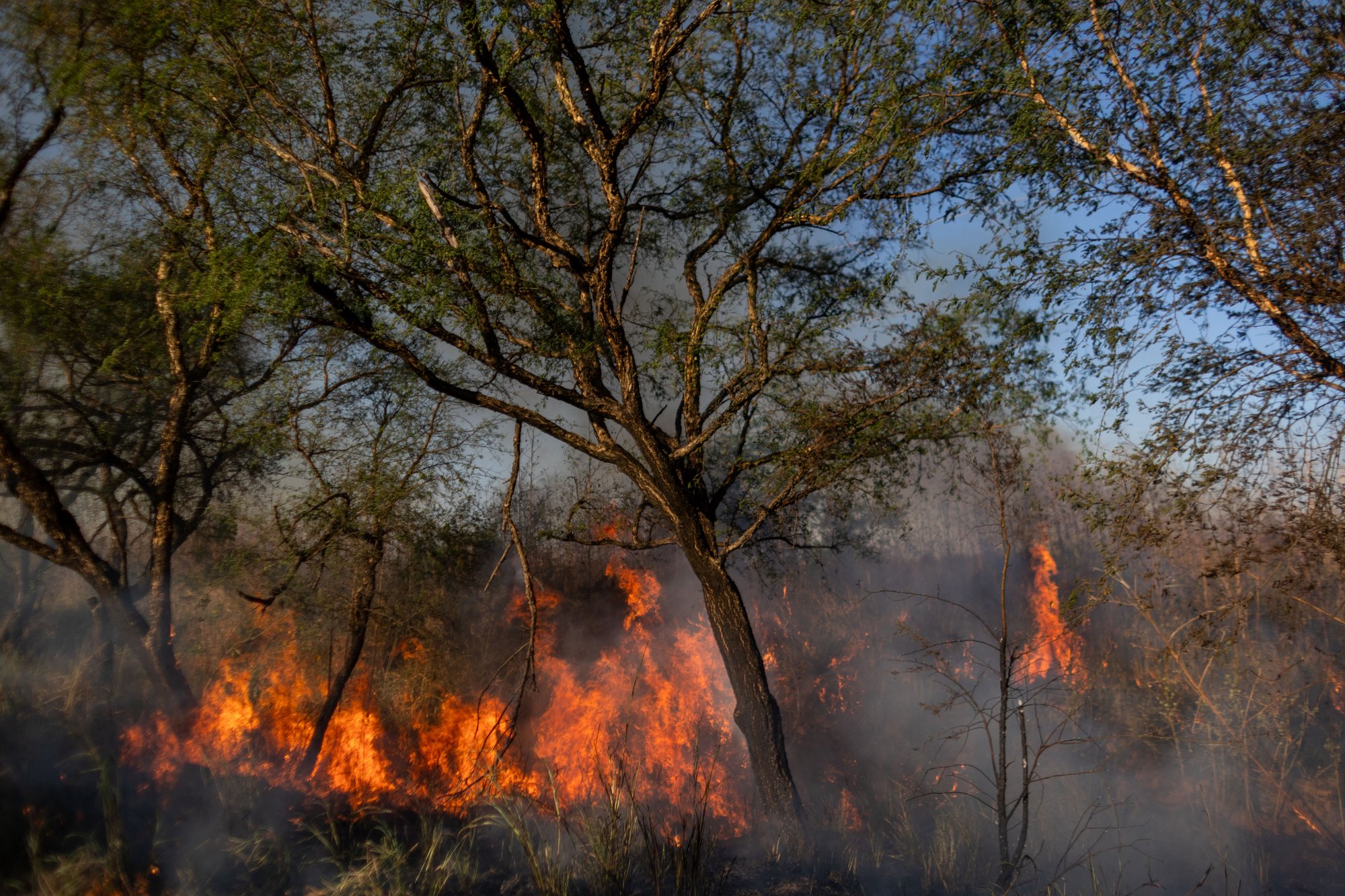 Incendio R34 cerca Tartagal 02 © Tomás Cuesta Greenpeace