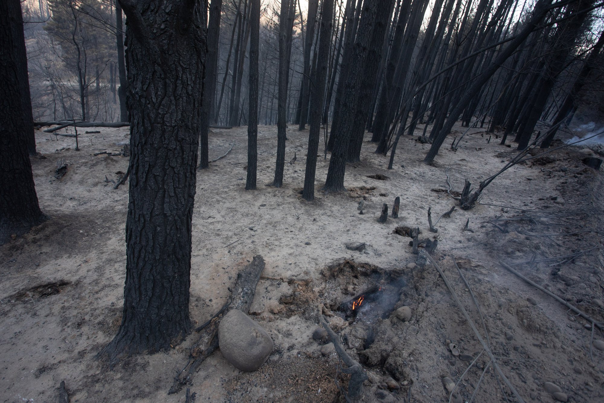 Incendios El Hoyo Chubut Crédito Matías Garay Greenpeace (1)