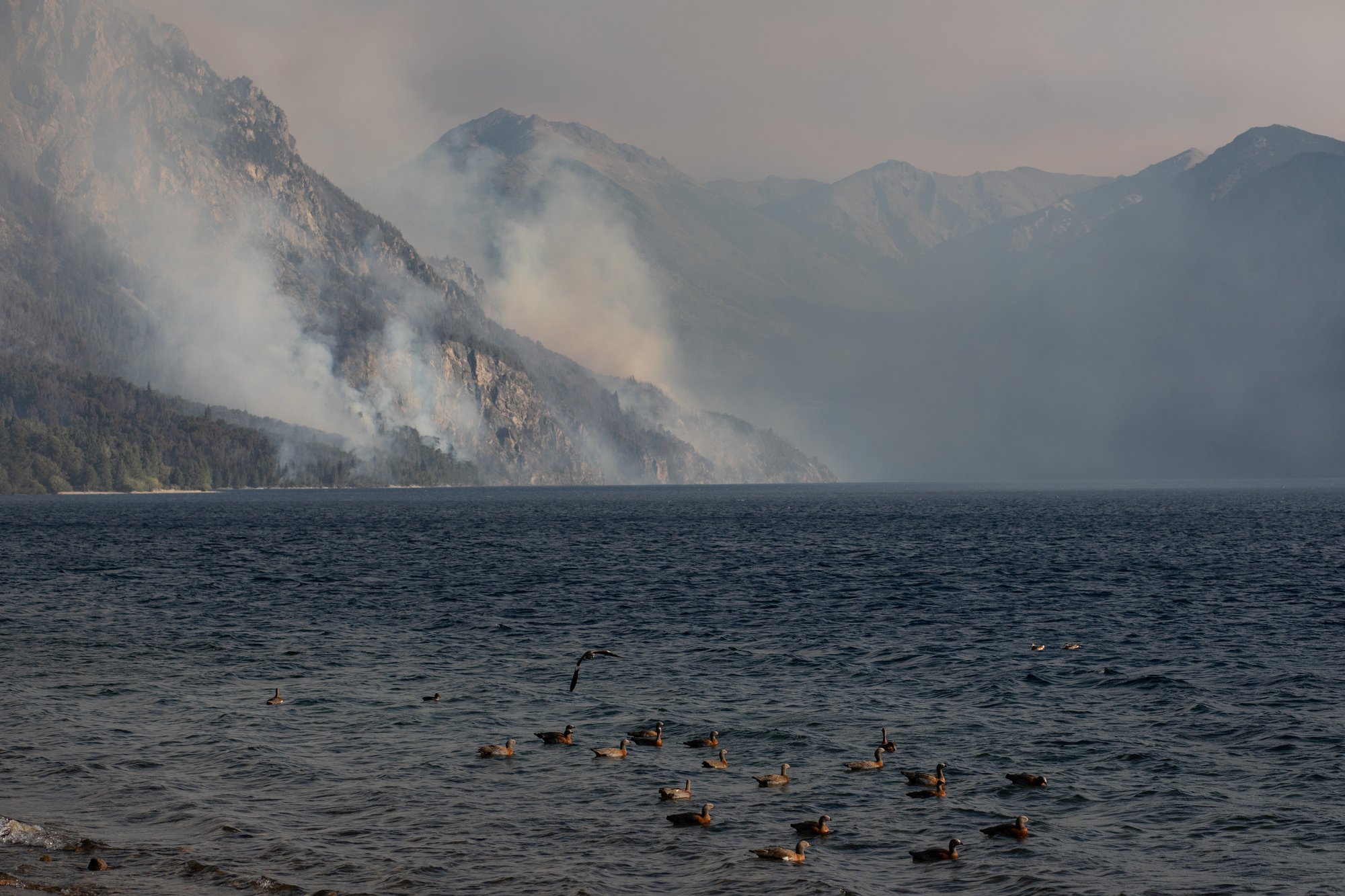 Incendios El Hoyo Chubut Crédito Matías Garay Greenpeace (3)