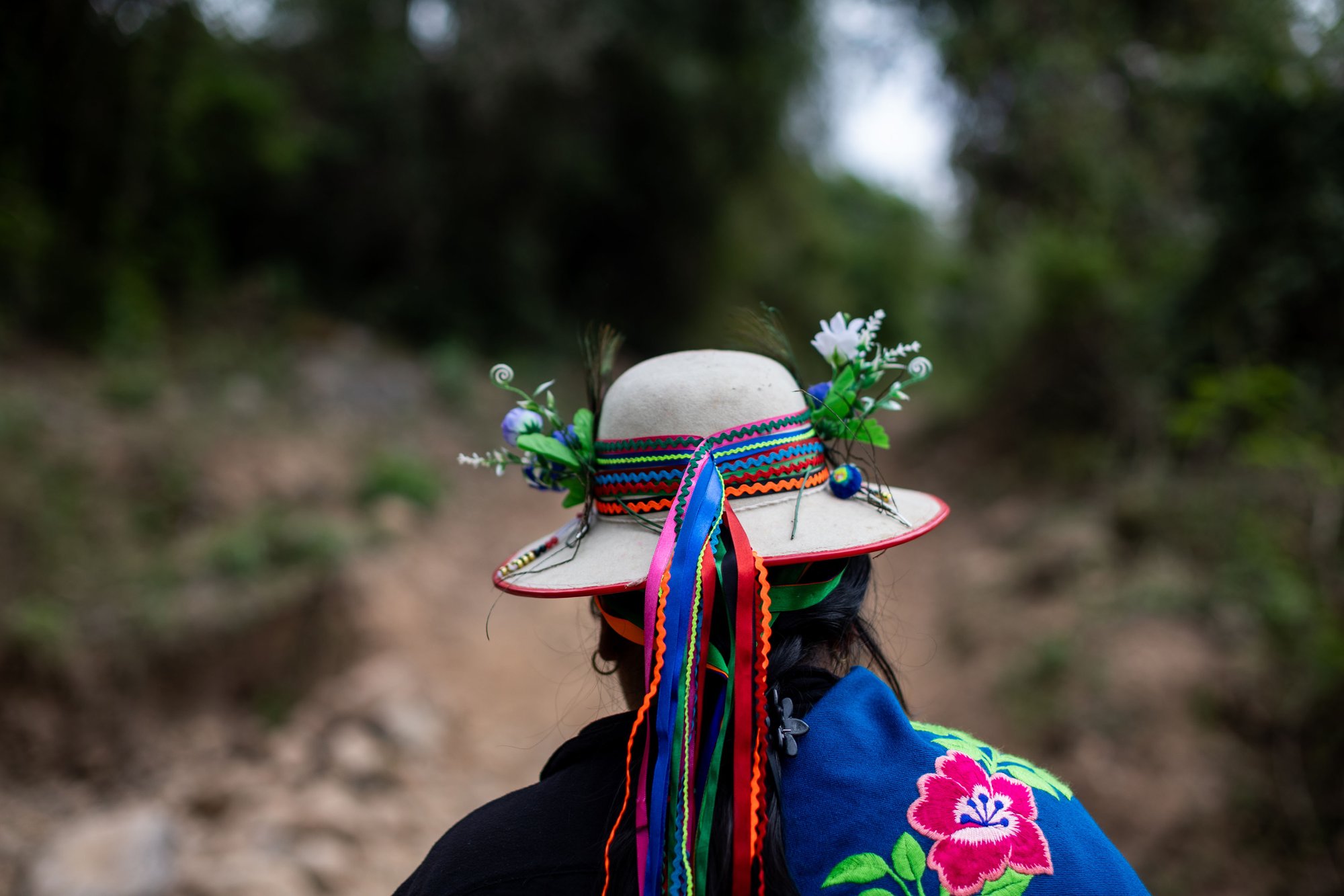 Pueblo Kolla Tinkunaku Yungas © Tomás Cuesta Greenpeace (1)