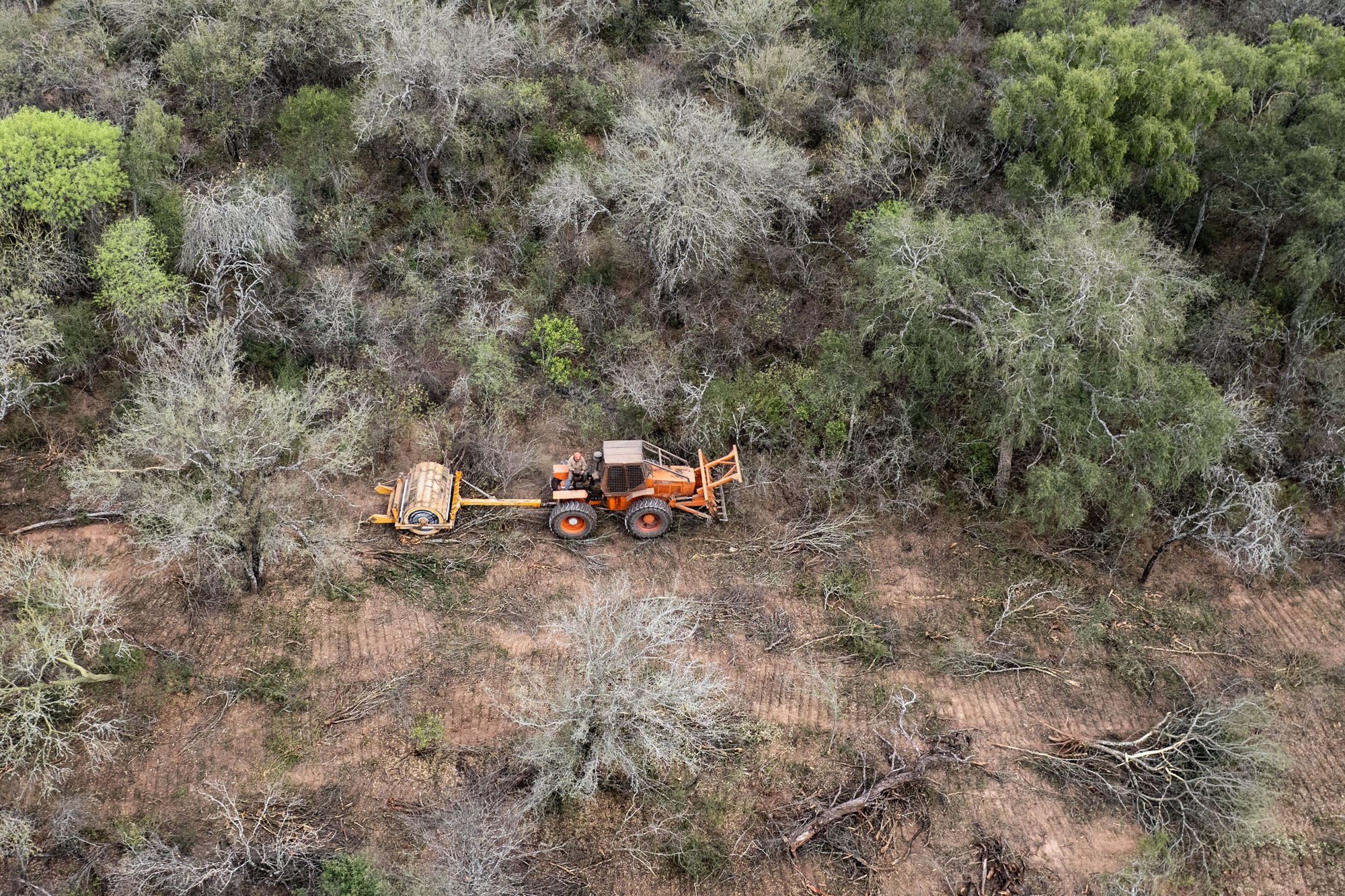 Salta 1 © Martin Katz Greenpeace