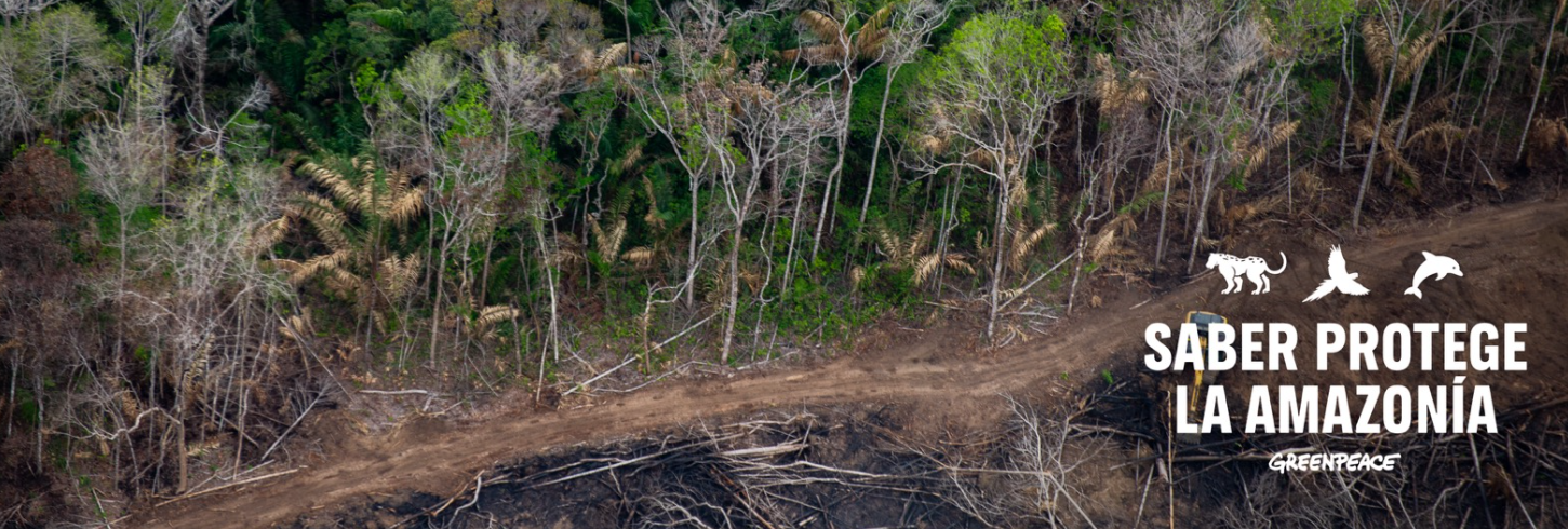 banneheadepeticion banneheadepeticion