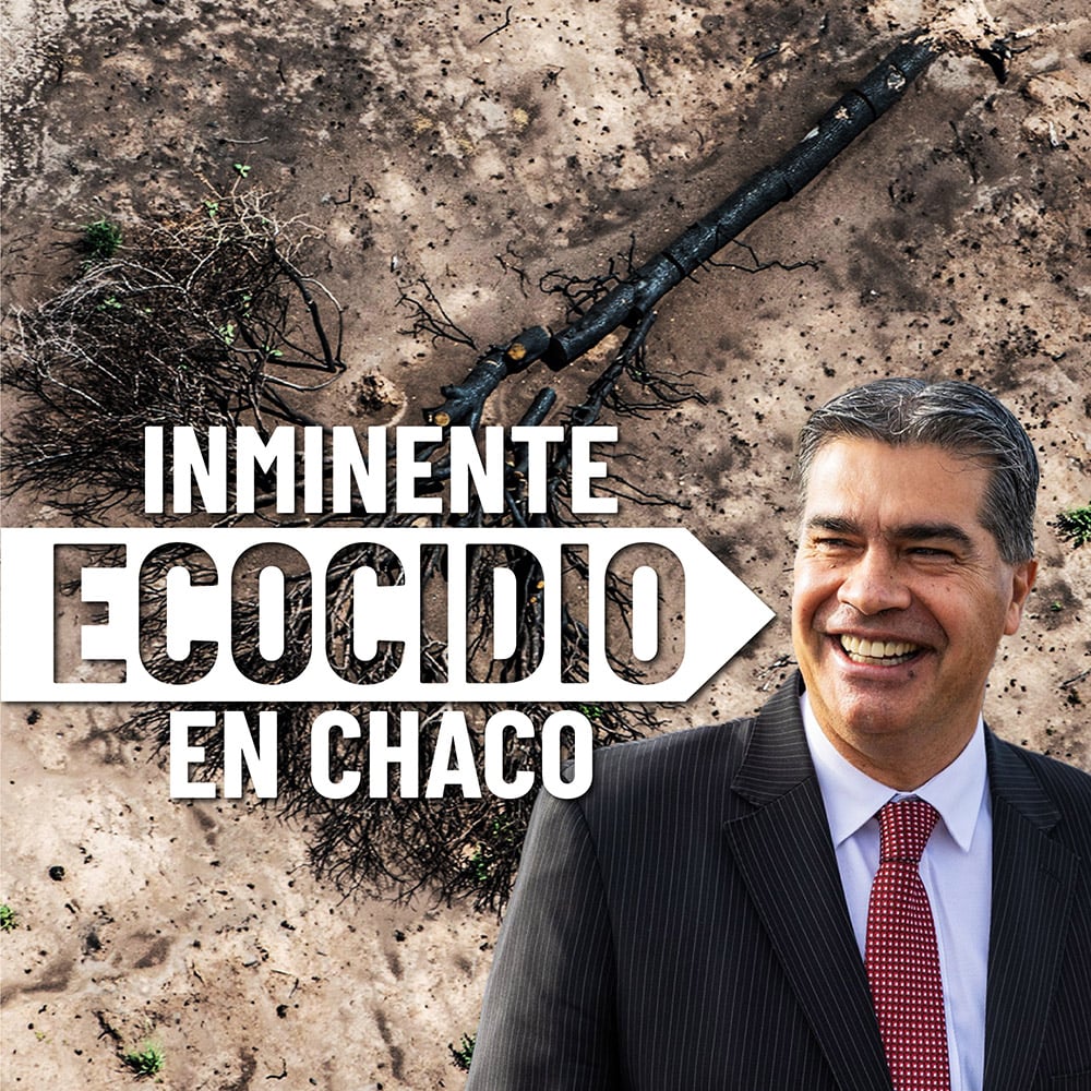 ecocidioOK ecocidioOK